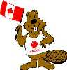 Canada Beaver